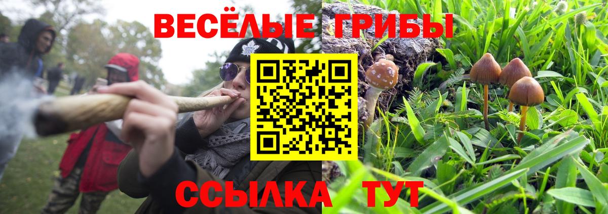 Галлюциногенные грибы Psilocybine cubensis  Вход с VPN  Псилоцибиновые грибы мухоморы  Нефтеюганск 